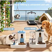 Dog & Cat Automatic Feeder & Waterer Set